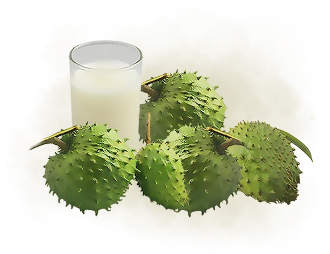 Products Page Products Anoda png