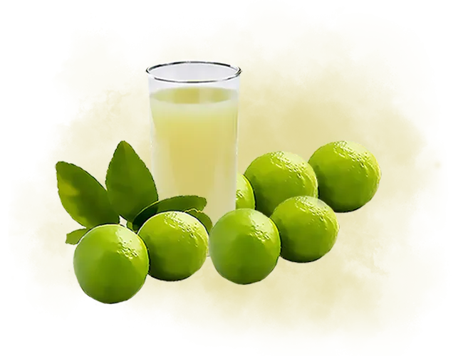 Products Page Products Lime png